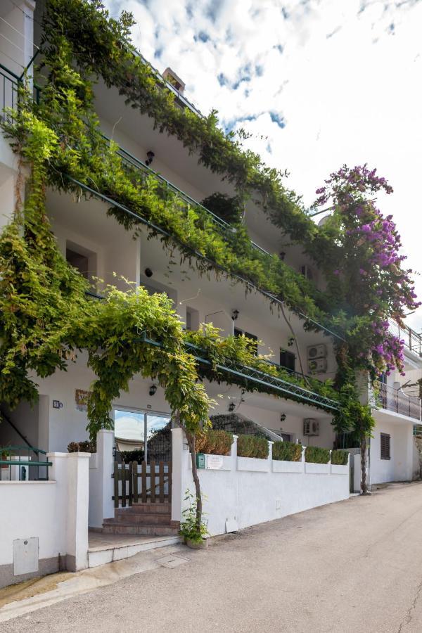 Apartments Leut 80M From The Sea Podgora Exterior foto